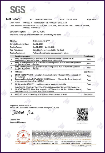 静态绳索化学报告-Shenghua